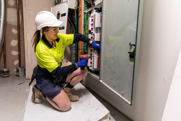 Best Electric Panel Repair  in Sconsin Dells, WI