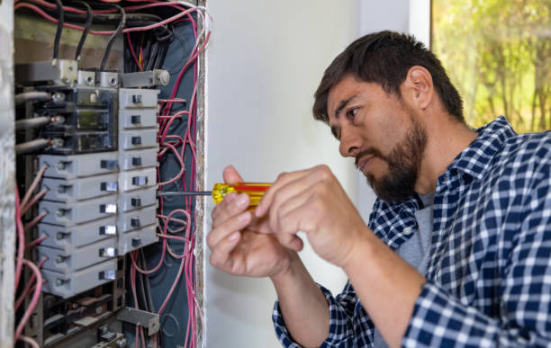 Best Ceiling Fan Installation Electrician  in Sconsin Dells, WI